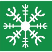 Vegvisir Brand Studio