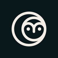 Owl Media Chile